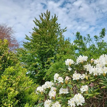 In Ubby בית הארחה