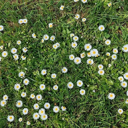 In Ubby בית הארחה *