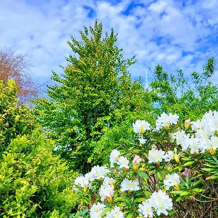 In Ubby בית הארחה